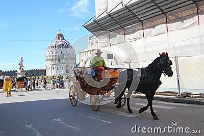 Carriage, horse, harness, and, buggy, chariot, mode, of, transport, coachman, cart, vehicle, wagon, like, mammal, pack, animal, se Editorial Stock Photo