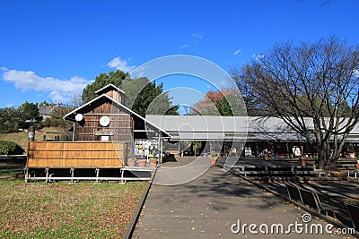 Property, tree, sky, home, house, real, estate, plant, cottage, rural, area, farmhouse, landscape, land, lot, roof, suburb, farm, Editorial Stock Photo