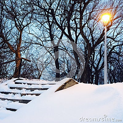 Streetlight and trees in the snowy park Stock Photo