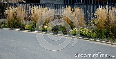 streets with gray fences of fodin gardens. flower beds line the plot Stock Photo