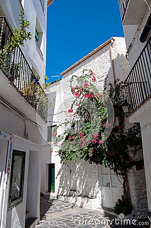 Streets and houses inside Cadaques town Stock Photo