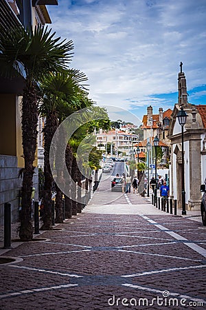Streets and palm trees in Portugal are a special style of Portuguese roads Editorial Stock Photo