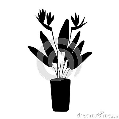 Strelitzia - a large domestic plant in a flower pot. Black silhouette for logo and icon. Home growing - an environmentally Cartoon Illustration