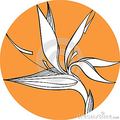 Strelizia flawers in the circle hand draw Vector Illustration