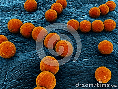 Streptococcus Stock Photo