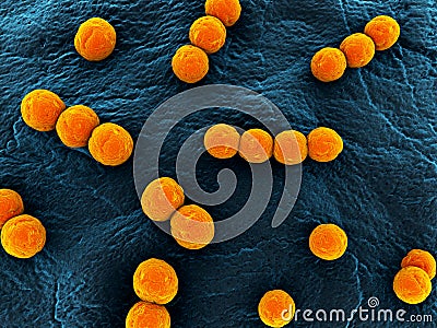 Streptococcus Stock Photo