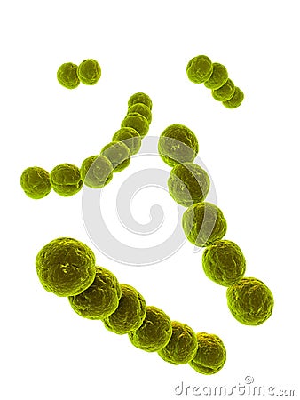 Streptococcus Stock Photo