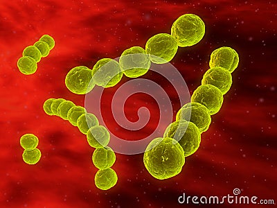 Streptococcus Stock Photo