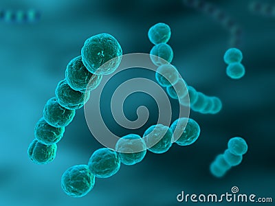 Streptococcus Stock Photo