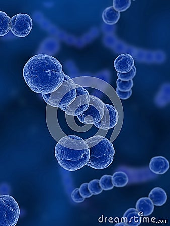 Streptococcus Stock Photo