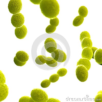 streptococcus bacteria Cartoon Illustration