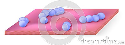 Streptococcus Vector Illustration