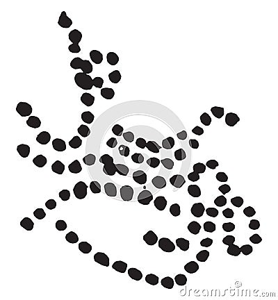 Streptococcus of erysipelas, vintage engraving Vector Illustration