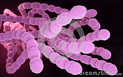 Streptococcus Pneumoniae Bacteria Cartoon Illustration