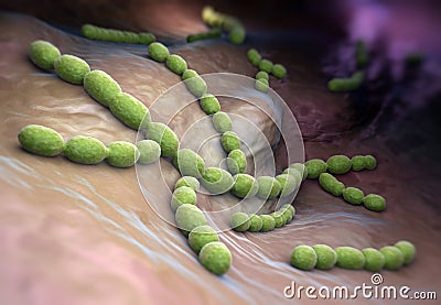 Streptococcus pneumoniae Stock Photo