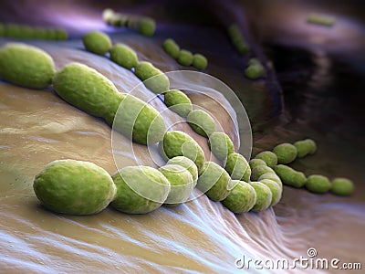 Streptococcus pneumoniae Stock Photo