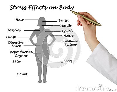 Stress Effects on Body Stock Photo