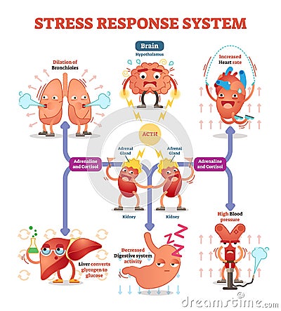 Stress response system vector illustration diagram, nerve impulses scheme. Vector Illustration