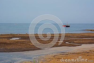 Stretch of the Apulian coast with posidonia algae and seagulls and fishermen`s boats in the background Stock Photo