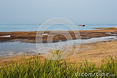 A stretch of the Apulian coast with posidonia algae and seagulls and fishermen`s boats in the background Stock Photo