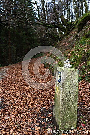 Stretch of the santiago`s way with beautiful leaves Stock Photo