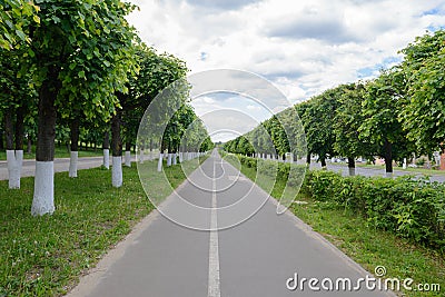 stretches to the horizon asphalt road with trees Stock Photo