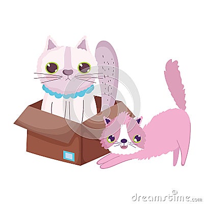 Stretching cat and other in the box cartoon pets Vector Illustration