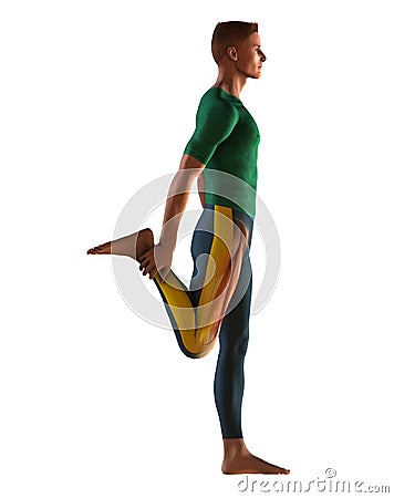 Stretching exercise Cartoon Illustration