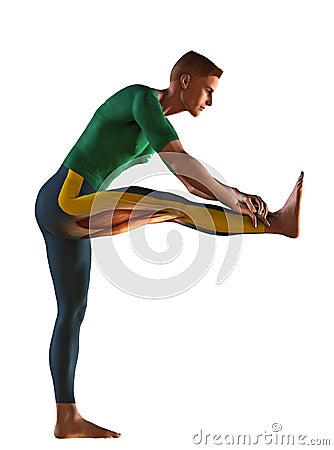 Stretching exercise Cartoon Illustration