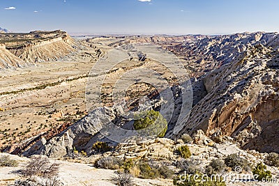 Strike Valley Juniper Stock Photo