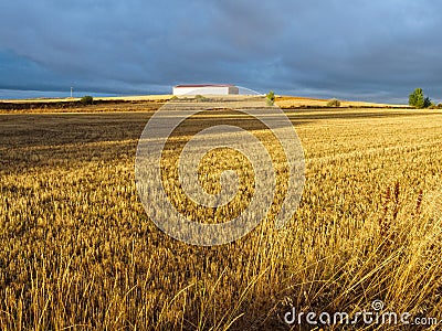 Striking colours - San Nicolas del Real Camino Stock Photo