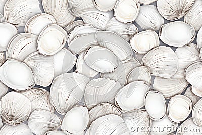 Striking White shellfish pattern. Generate Ai Stock Photo
