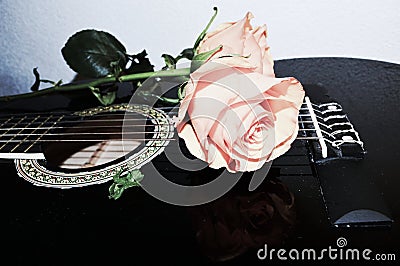 Strings and roses, symbols Stock Photo