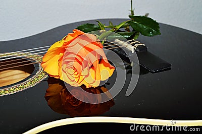 Strings and roses, symbols Stock Photo