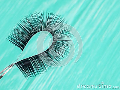 strip for eyelash extensions on a uniform tone, twisted, held with tweezers. Industry artificial eyelashes, eyelash extensions, Stock Photo