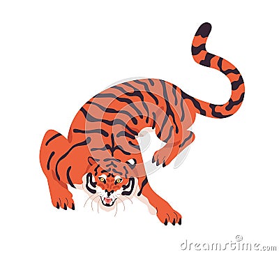 Striped Amur tiger crawling and roaring. Aggressive wild cat crouching. Angry predator looking and walking. Carnivor Vector Illustration