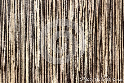 Striped Carpet Texture Stock Photo