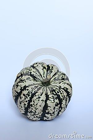 striped green and white pumpkin on white Stock Photo