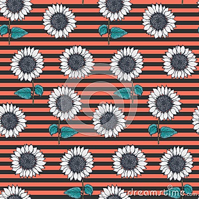 Striped pattern with white sketch sunflowers Vector Illustration