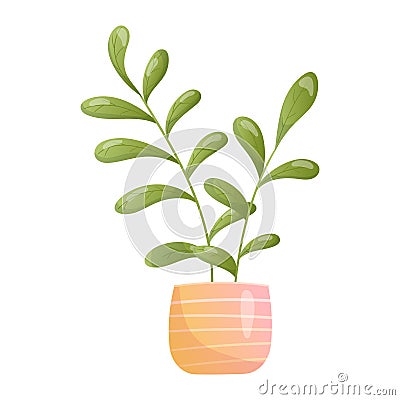 Pot with homemade tropical Plant with Leaves. Vector cartoon isolated illustration of planted ficus Vector Illustration