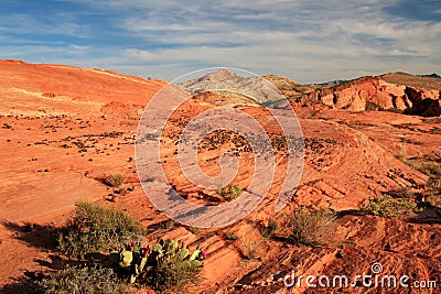 Striped Rocks on Crazy Hill in Pink Canyon, near Fire Wave at sunset, Valley of Fire State Park, USA Stock Photo
