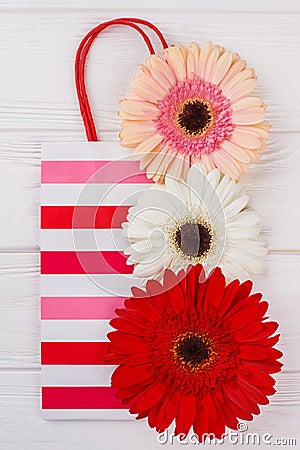 Striped shipping bag and flowers on white background. Stock Photo