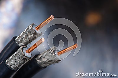 Stripped coax cable close-up Stock Photo