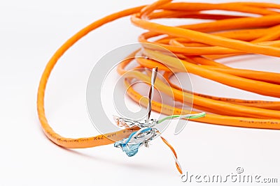 Stripped Ethernet cable with twisted wires Stock Photo