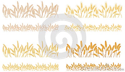 Strips waving ears of cereals plants Vector Illustration