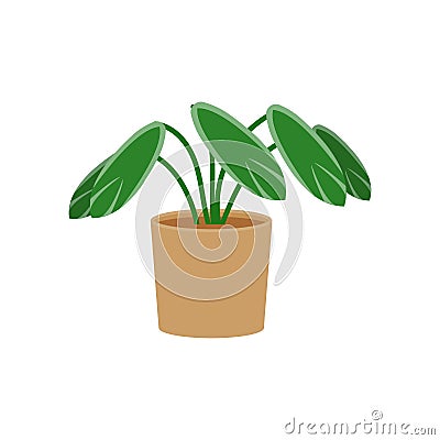 Stromanthe potted flat icon, indoor plant Vector Illustration
