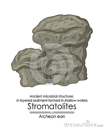 Stromatolites formations ancient microbial structures Vector Illustration