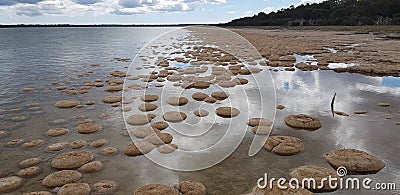 Stromatolites thrombolites Lake Clifton Westen Australia Stock Photo