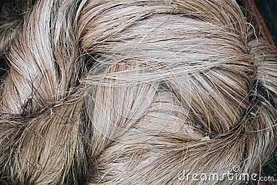 Strong Abaca fibers, a natural leaf fiber, AKA called Manila hemp or Musa textilis from Banana tree leafstalk native to Philipines Stock Photo