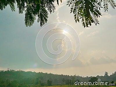 Strong afternoon sunlight in summer shining through cloudy sky onto hills, green leaves, and the ground below Stock Photo